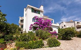Apartments Delfin